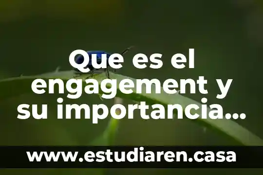 Que es el engagement y su importancia en la mercadotecnia
