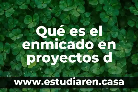 Que es lo saludable d las bebidas alcoholicas 5 Qué es el enmicado en proyectos d