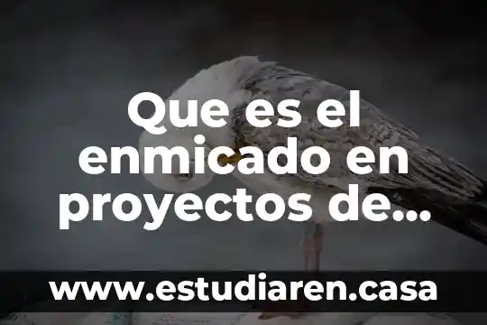 Que es el enmicado en proyectos de investigacion