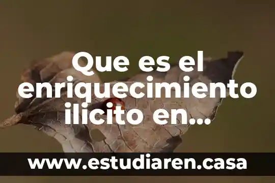 Que es el enriquecimiento ilicito en derecho fiscal