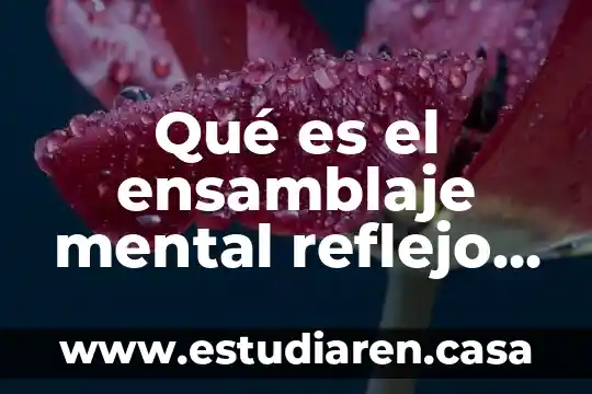 Qué es el ensamblaje mental reflejo en psicología