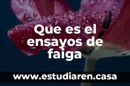 Que es el ensayos de faiga