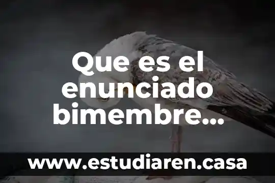 Que es el enunciado bimembre yahoo