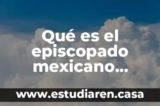 Que es el arbol cirio mexicano 6 Qué es el episcopado mexicano reprueba