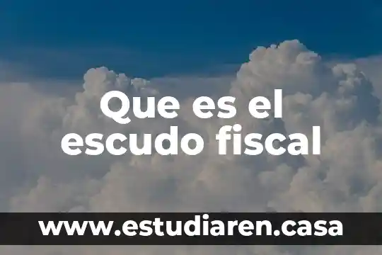 Que es una politica fiscal expansiva 8 Que es el escudo fiscal