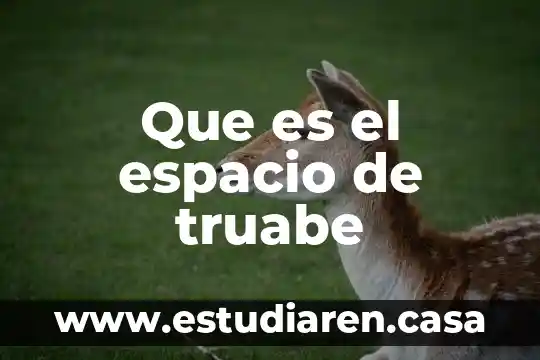 Que es un espacio urbano y sus caracteristicas 3 Que es el espacio de truabe
