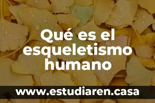 Que es equilibrio humano 8 Qué es el esqueletismo humano