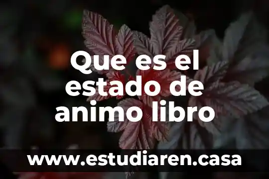 Que es localidad en la ciudad de mexico 5 Que es el estado de animo libro