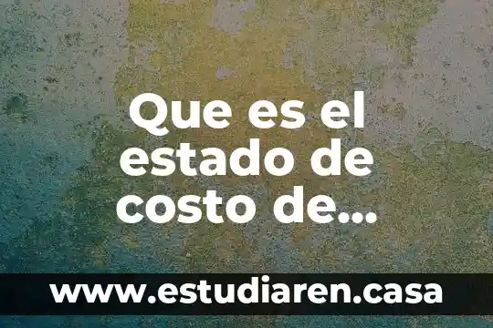 Que es estado financiero segun autores 3 Que es el estado de costo de articulos fabricados