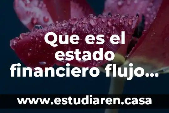 Que es el estado financiero flujo de efectivo