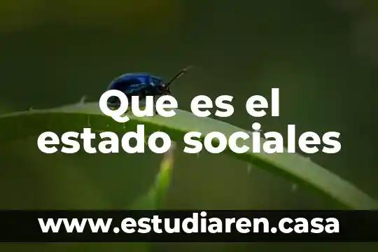 Que es el estado sociales