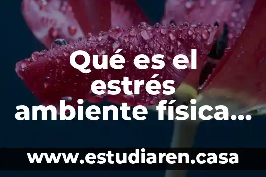 Que es el ambiente fisico de un cuento latinoamericano 3 Qué es el estrés ambiente física o química
