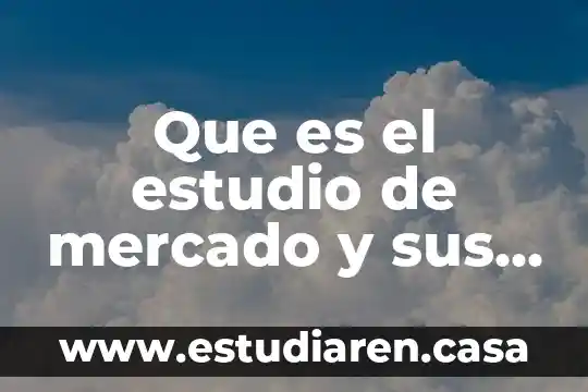 Que es el estudio de mercado y sus pasos