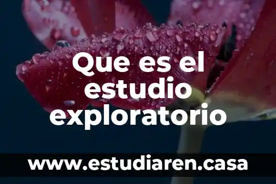 Que es el analisis exploratorio de datos en estadistica 3 Que es el estudio exploratorio