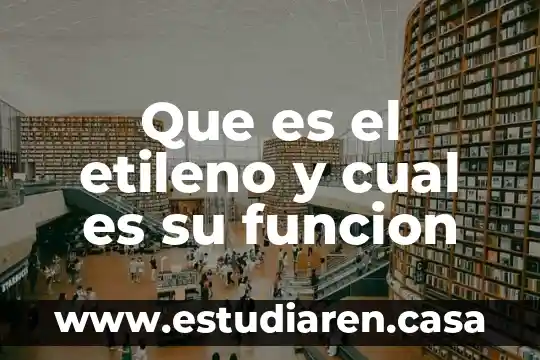 Que es una funcion de distribucion acumulada 3 Que es el etileno y cual es su funcion