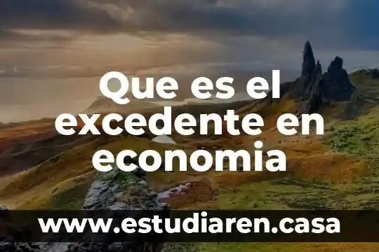 Que es economia aplicada a los negocios 5 Que es el excedente en economia