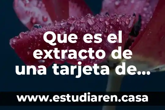 Tarjeta saldazo banamex de que es 8 Que es el extracto de una tarjeta de debito