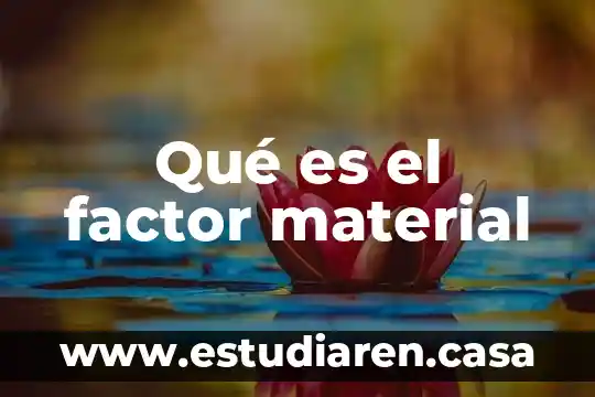 Qué es el factor material