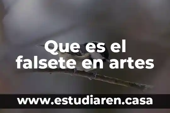 Que es el equilibrio en artes plasticas 7 Que es el falsete en artes