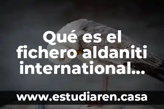 Que es non-profit international 4 Qué es el fichero aldaniti international network ltd
