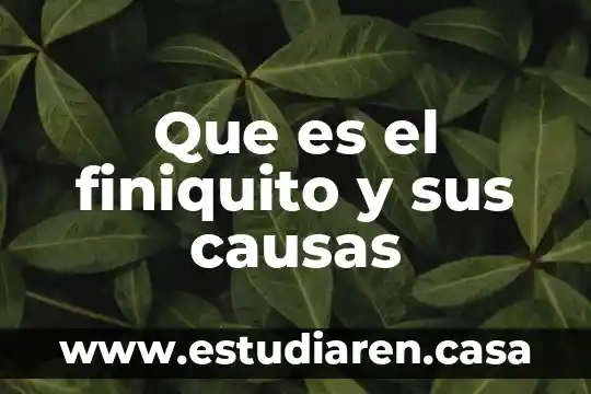 Qué es la hepatitis causas y efectos 5 Que es el finiquito y sus causas