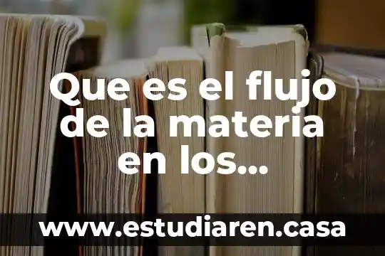 Que es la expresion en materia de reserva 5 Que es el flujo de la materia en los ecosistemas