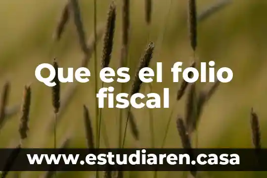 Que es la constancia de identificacion fiscal 8 Que es el folio fiscal