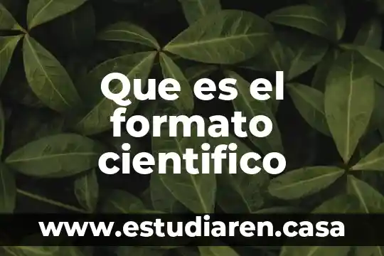 Que es un contexto cientifico 7 Que es el formato cientifico