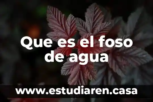 Que es el foso de agua
