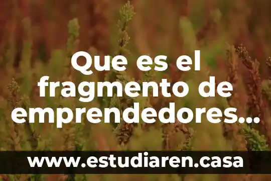 Que es la mascara de red y subred 5 Que es el fragmento de emprendedores en red