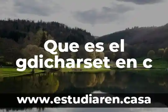 Qué es un lano y su c 7 Que es el gdicharset en c