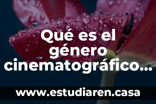 Qué es el género del coro 5 Qué es el género cinematográfico bélico