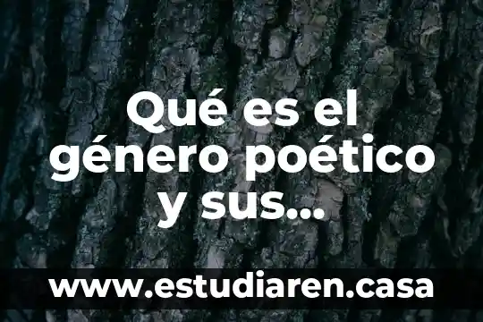 Que es ensayo poetico 5 Qué es el género poético y sus características