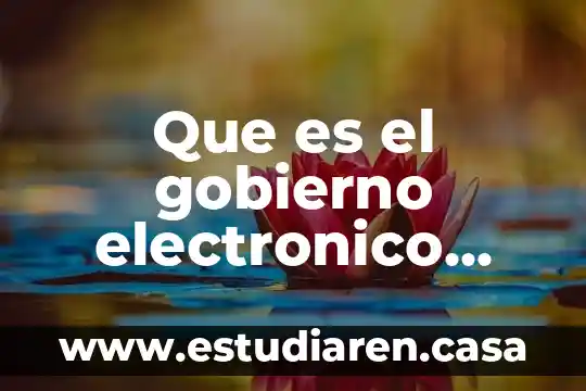 Que es transfondo diccionario la real academia española 4 Que es el gobierno electronico real academia mexicana