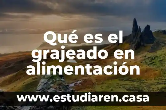 Que es leyes de la alimentacion 4 Qué es el grajeado en alimentación