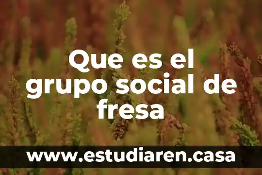 Qué es un fresa en México 7 Que es el grupo social de fresa