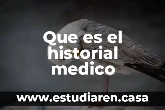 Que es el historial medico 15 Que es el historial medico