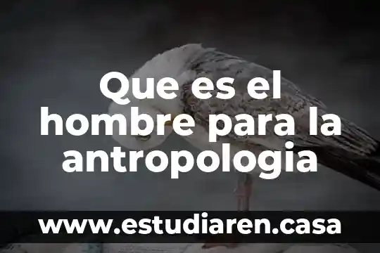 Que es el hombre para la antropologia