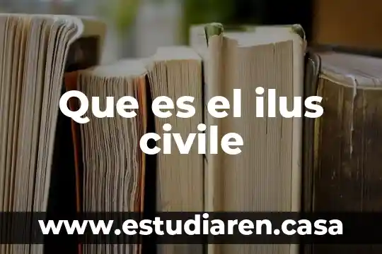 Que es el ilus civile