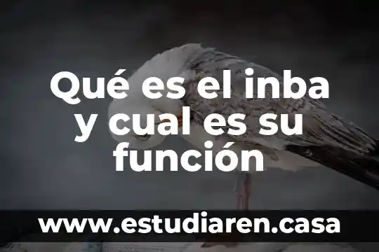 Que es el juego imaginativo 3 Qué es el inba y cual es su función