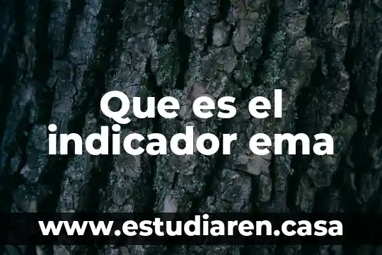 Cuando parpadea indicador de bascula por que es 8 Que es el indicador ema