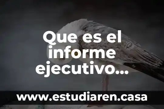 Que es el informe ejecutivo ejemplos