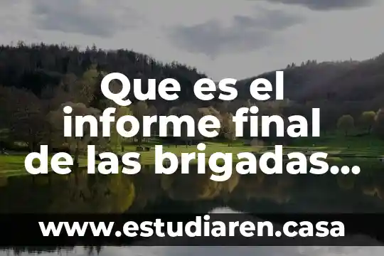 Que es el informe final de las brigadas de emergencia