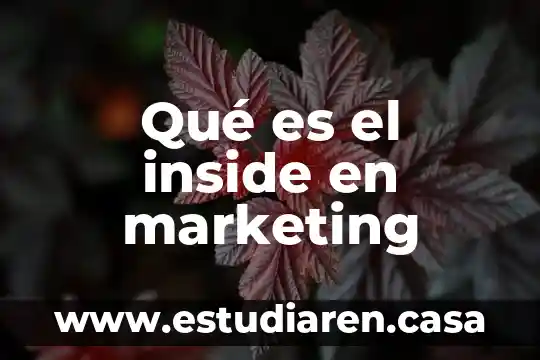 Que es la estrictura componente en marketing 3 Qué es el inside en marketing