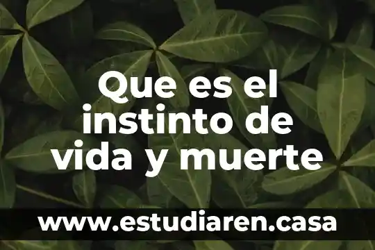 Que es el instinto de vida y muerte
