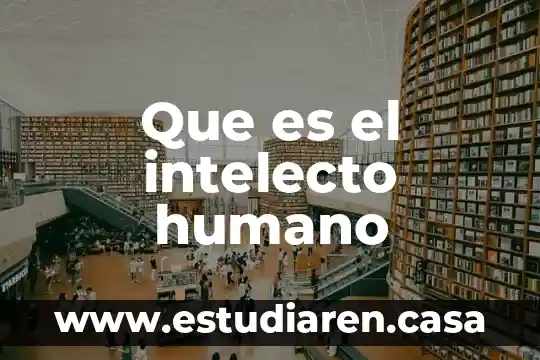 Que es el intelecto humano