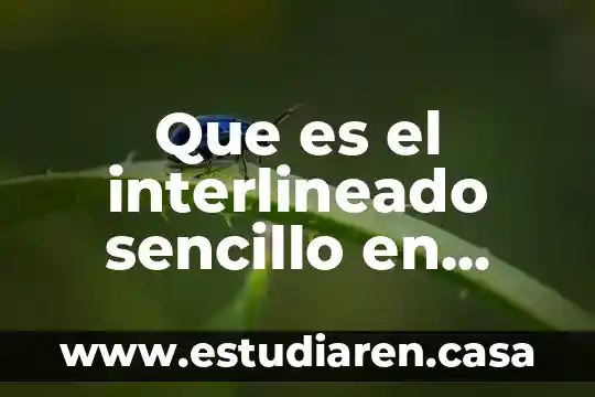 Que es en word interlineado 5 Que es el interlineado sencillo en word 2010