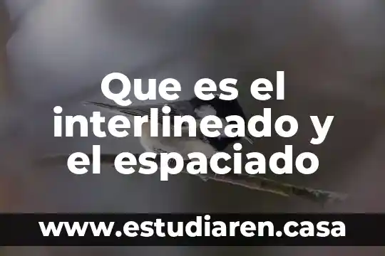 Que es en word interlineado 4 Que es el interlineado y el espaciado
