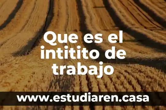 Que es el intitito de trabajo