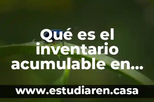 Qué es el inventario acumulable en México
